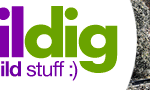 Raildig on YouTube